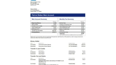AmexCard Account Summary Template