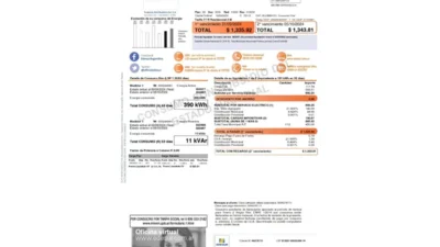 Argentina Edesur Electricity Bill Word And PDF Template (2 Pages)