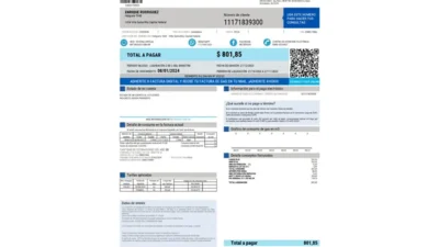 Argentina MetroGAS Natural Gas Bill Word And PDF Template