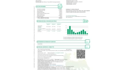 Spain Plenitude Electricity Bill Template In word And PDF Format (3 Pages)