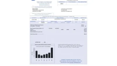 USA Lakewood Water District Utility Bill Word And PDF Template