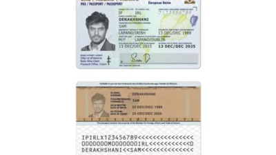 Ireland ID Authentication Card PSD Template
