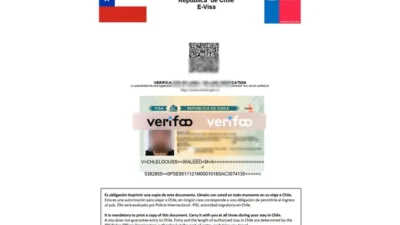Chile E-Visa Template In Word And PDF Format