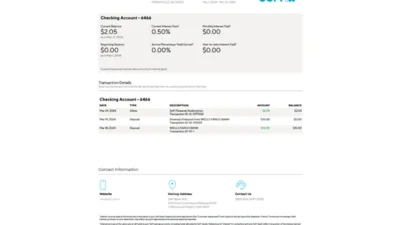 United States SoFi Bank Statement Template in Word and PDF Format