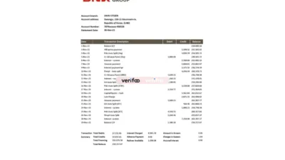 South Korea BNK Bank Statement Excel And PDF Template