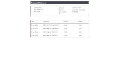 USA Payoneer Account Statement Template