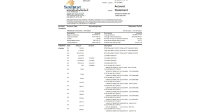 USA SunTrust Bank Statement Excel And PDF Template