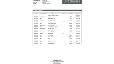 Tajikistan Spitamen Bank Statement Template