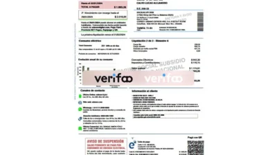 Argentina Edenor Utility Bill Template in word And PDF format