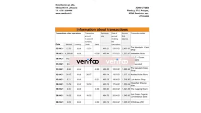Lithuania SwedBank Bank Statement Excel And Pdf Template