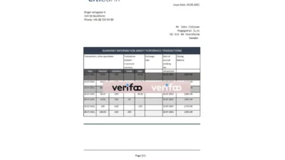 Sweden Citibank Bank Statement Template