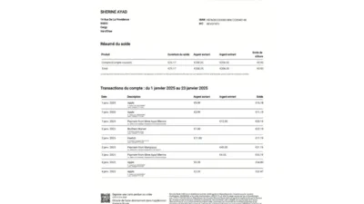 France Revolut account statement template