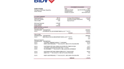 Vietnam BIDV Bank Statement Template