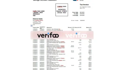 USA Capitec bank statement Word and PDF template