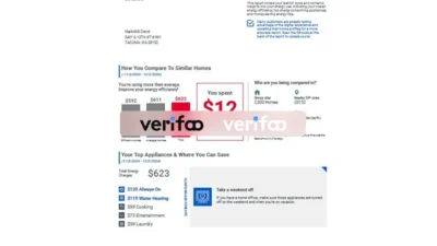 United StatesTacoma Public Utilities Billing Statement Template in word and pdf format