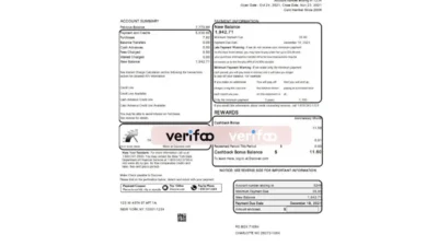 USA Discover Bank Statement Excel And PDF Template