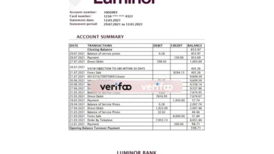 Estonia Luminor Bank Statement Excel And PDF Template