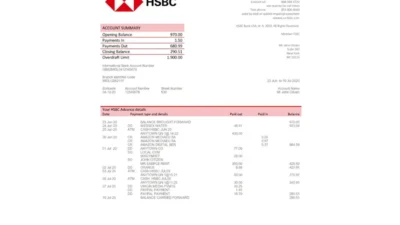 USA HSBC Bank Statement Template