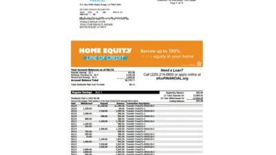 United States efcu Financial Template in Word and PDF Format