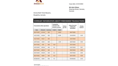 Somalia Amana Bank Statement Word And PDF Template