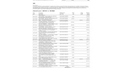 UAE Mashreq Bank Statement Word And PDF Template (3 pages)