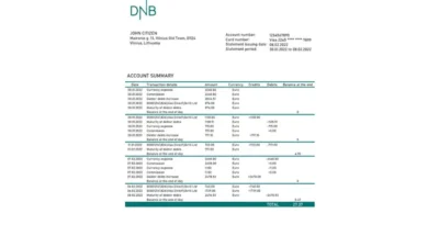 Lithuania Litva DNB Bank Statement Word And PDF Template