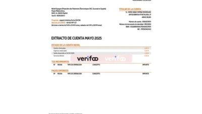 Spain Nickel Account Statement Word And PDF Template