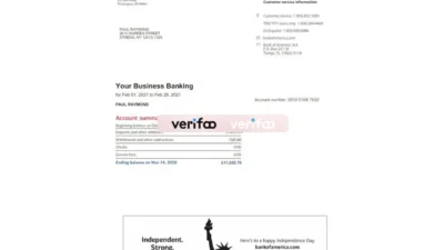 USA Bank of America Statement Template