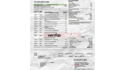 USA/Canada TDBank Statement Template