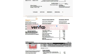 Ambit Energy Utility Bill Template in word and pdf format