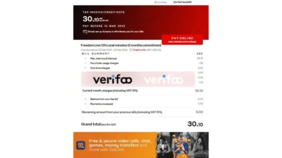 UAE Etisalat by e& Utility Bill Template in word and pdf format