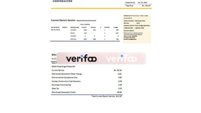 Bolivia Ende Electric Bill Template