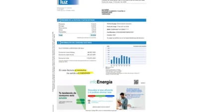 Spain Endesa Energía Electricity Utility Bill word And PDF Template (3 Pages)