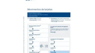 Spain BBVA Credit Card Statement Template in word and pdf format