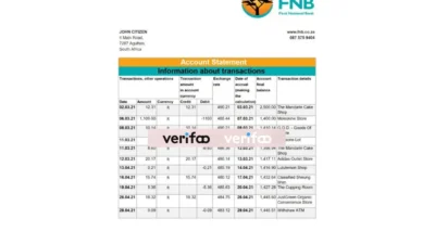 South Africa FNB Bank Statement Template In Excel And PDF Format