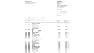 Denmark Danske Bank Statement Word And PDF Template (3 Pages)