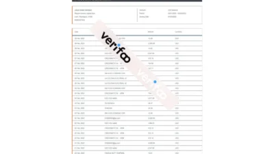 Payoneer Account Statement Word AND PDF Template
