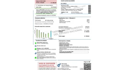 Argentina Edenor Electricity Bill Word And PDF Template (2 Pages)