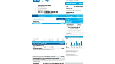 Argentina AySA Water and Sanitation Bill Word And PDF Template (2 Pages)