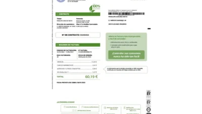 Spain Iberdrola Electricity Bill word And PDF Template (4 Pages)