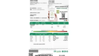 Mexico Federal Electricity Commission CFE Utility Bill Word And PDF Template (2 pages)
