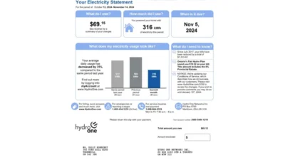 Canada Hydro One Electricity Bill Word And PDF Template