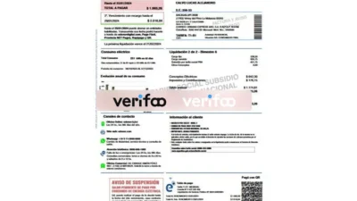 Argentina Edenor Utility Bill Template in word and pdf format