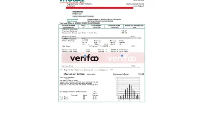 Switzerland Vitogaz Switzerland AG Utility Bill Template in word and pdf format