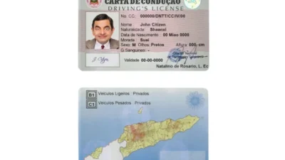 Timor-Leste Driver License PSD Template