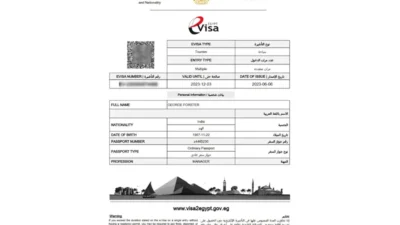 Egypt electronic entry visa Word And PDF template