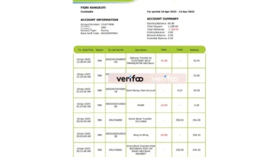 Cambodia Wing Bank Account Statement Template in word and pdf format