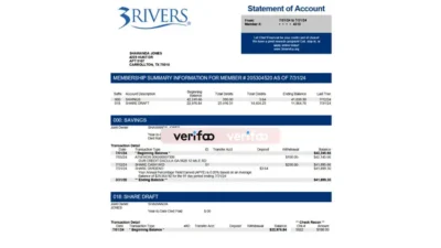 Rivers Federal Credit Union Statement Template In Word And PDF Format