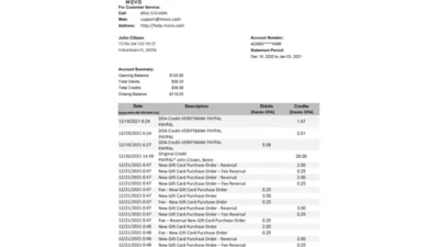 USA MOVO Bank Statement Excel And PDF Template