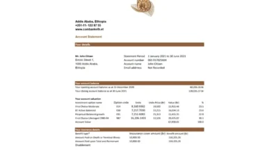 Ethiopia Awash Bank statement Excel and PDF template